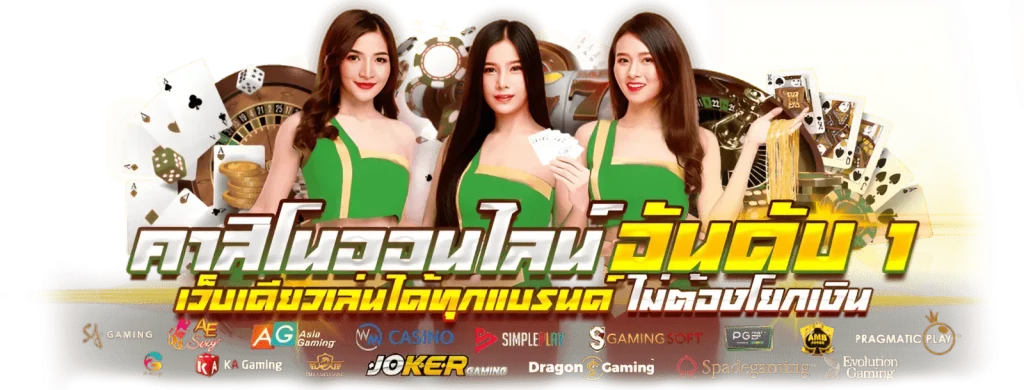 ทาง เข้า megaplay 333 8